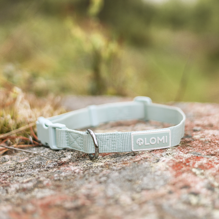 Hundhalsband - EcoComfort