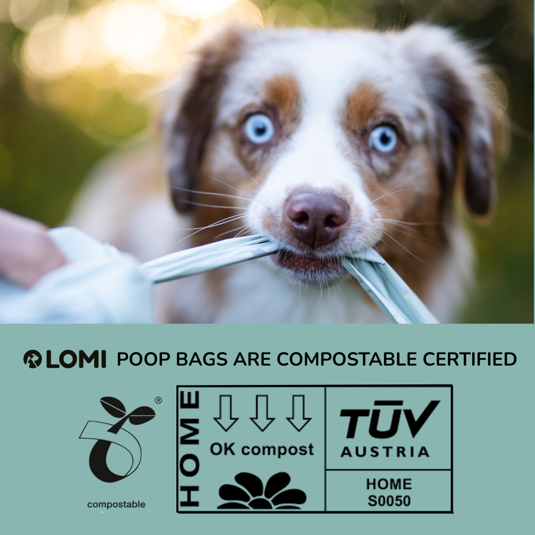 ENVIRONMENTALLY FRIENDLY DOG POOP BAGS