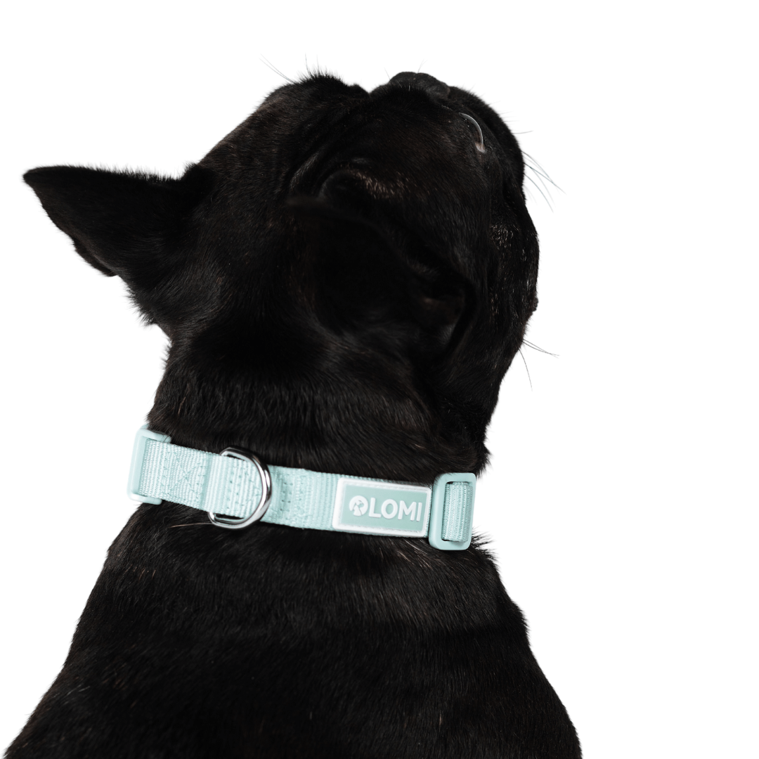 Hundhalsband - EcoComfort