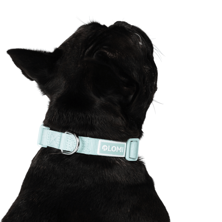 Hundhalsband - EcoComfort