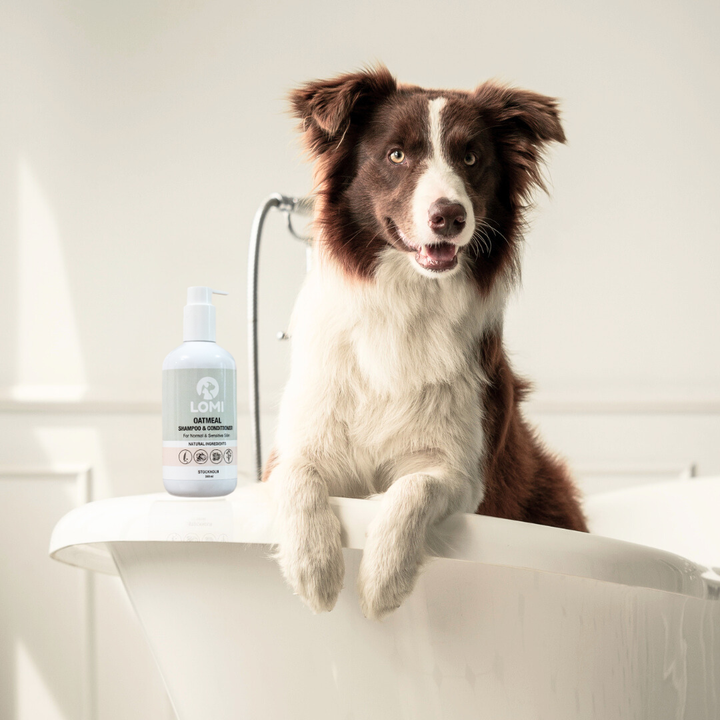 Gentle natural oat-based dog shampoo & conditioner