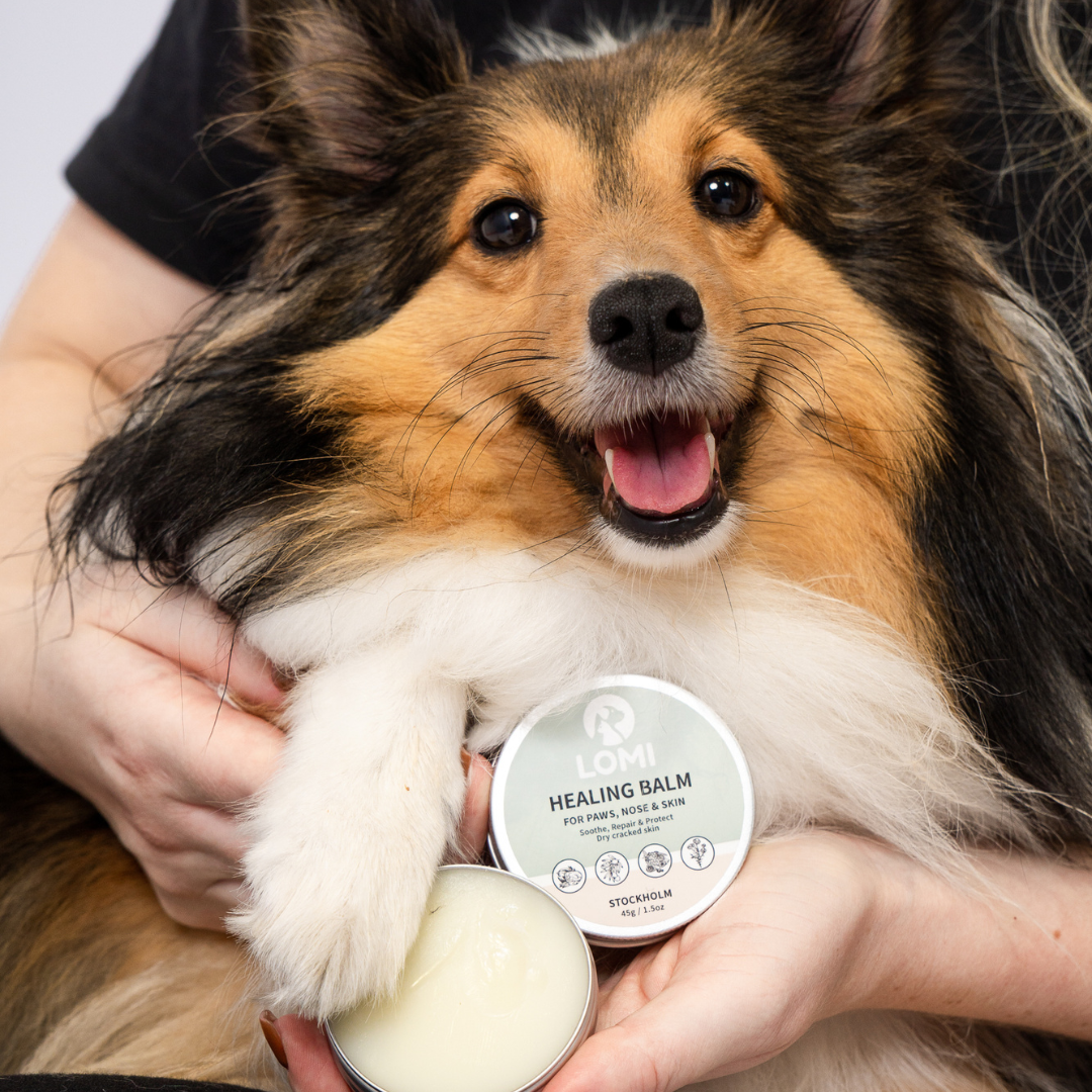 Healing Balm - Naturlig Tassalva för Hund & Katt