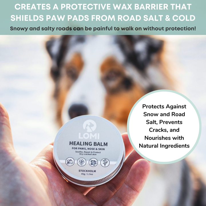 Healing Balm - Natural Healing Balm for Dogs & Cats