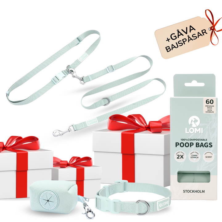 EcoComfort Dog Collar & Multi-Leash Set