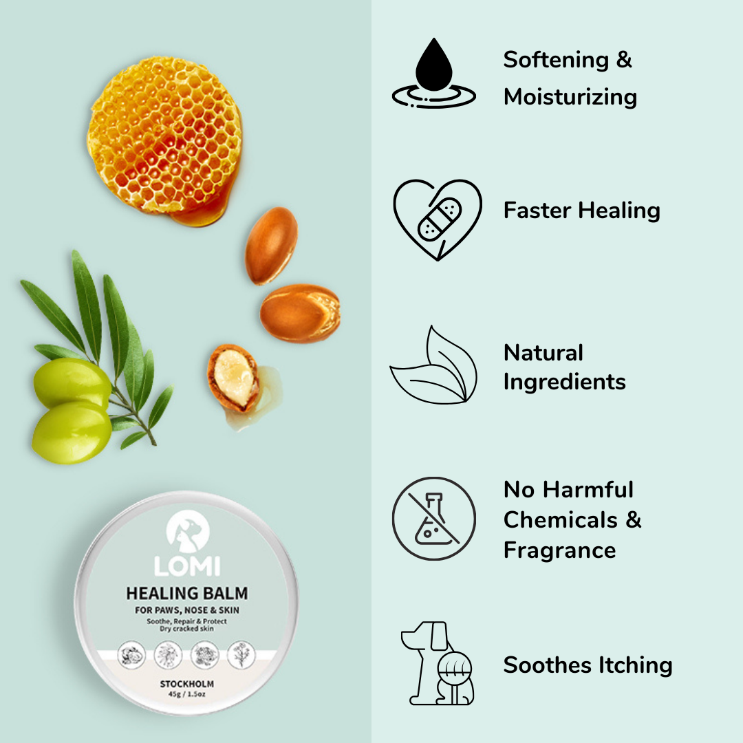 Healing Balm - Naturlig Tassalva för Hund & Katt