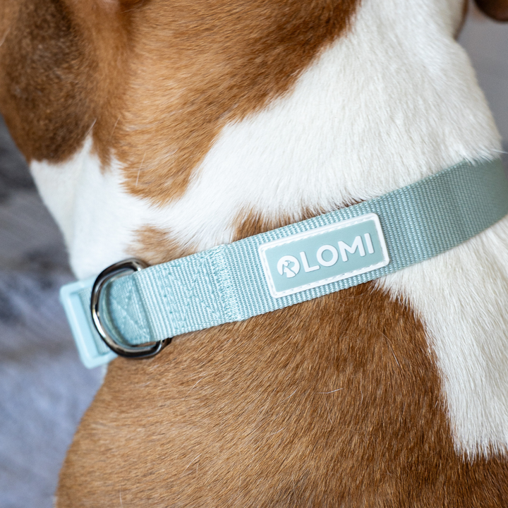 EcoComfort dog collar