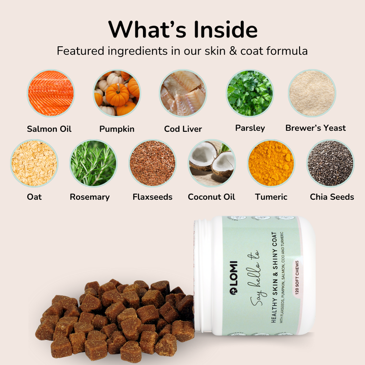 Functional Treats - Skin & Coat formula