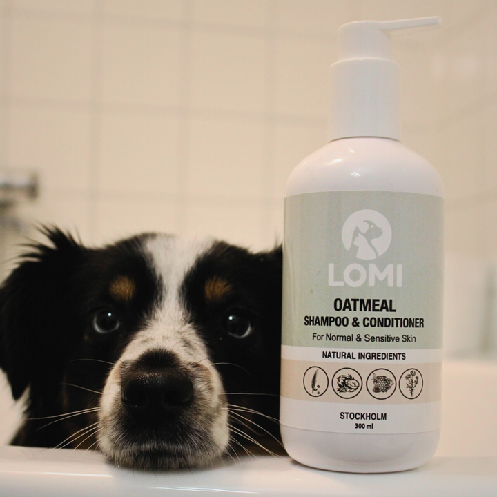 Gentle natural oat-based dog shampoo & conditioner