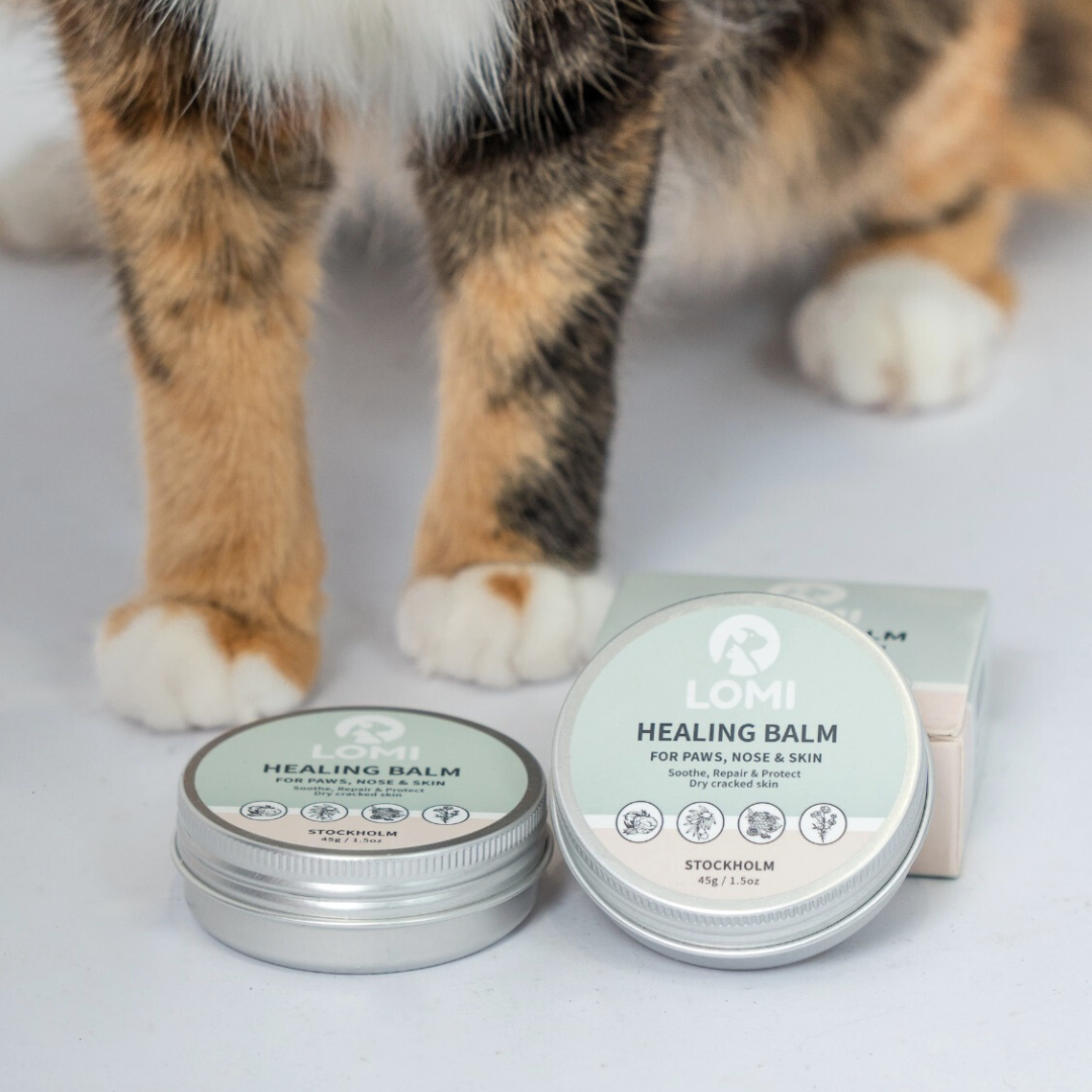 Healing Balm - Naturlig Tassalva för Hund & Katt