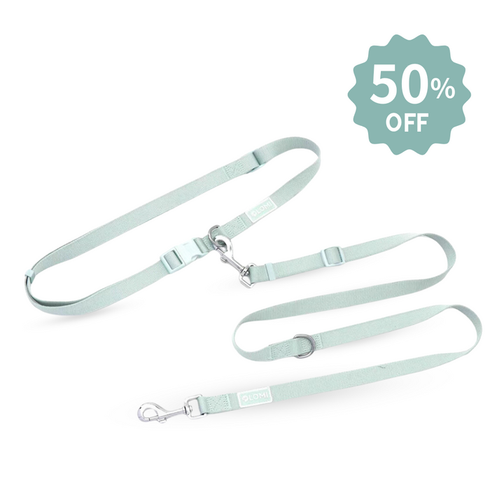 Hands-free Hundkoppel