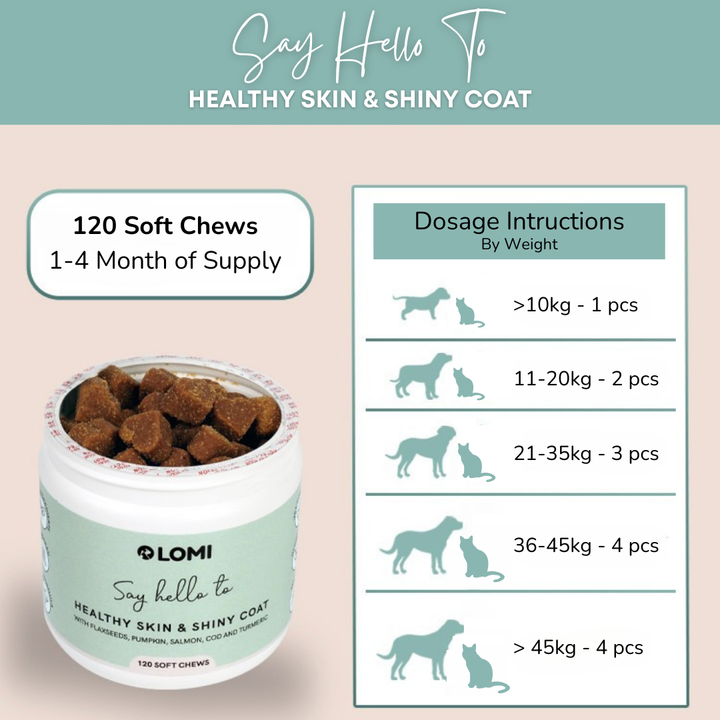 Functional Treats - Skin & Coat formula