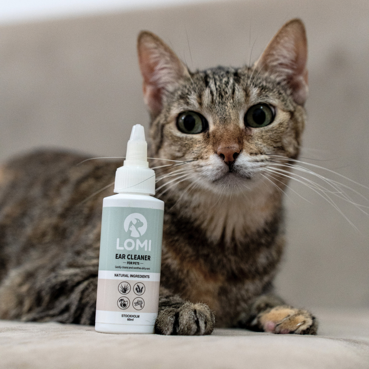 Natural ear cleaner for dogs and cats 